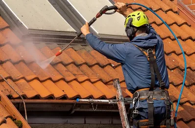 Démoussage et hydrofuge de toiture à Chantes